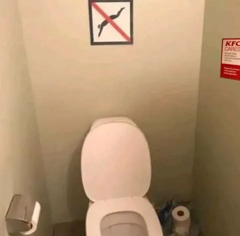 No Dogs Allowed in the Bathroom