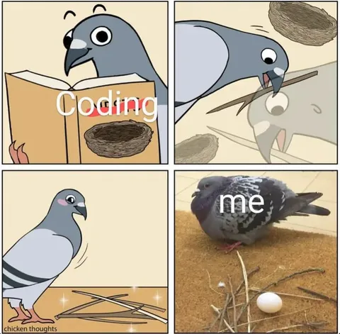 Coding Instead of Building a Nest