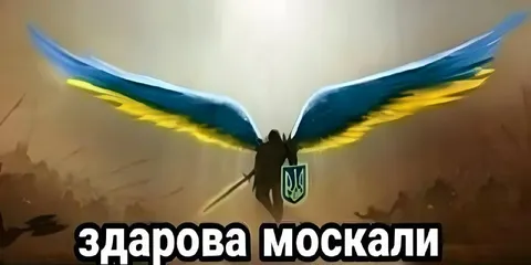 Здарова москали с крыльями