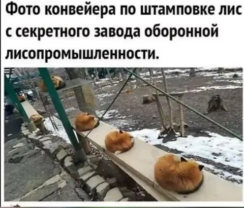 Конвейер по штамповке лис