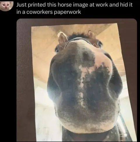 Horse Hidden in Coworker Paperwork