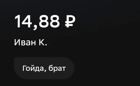 Гойда, брат, 14,88 ₽