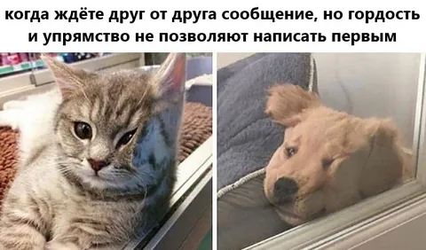 Гордость не позволяет написать первым