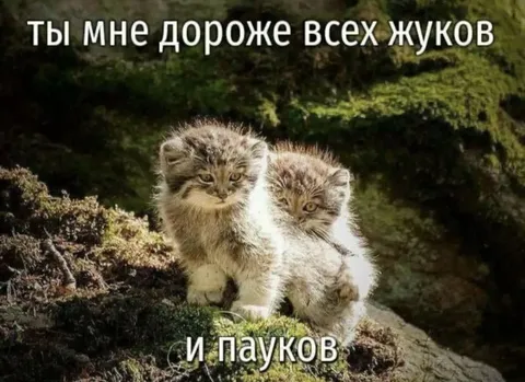 Дороже всех жуков и пауков