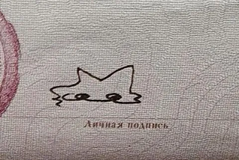 Анонимная подпись под котом
