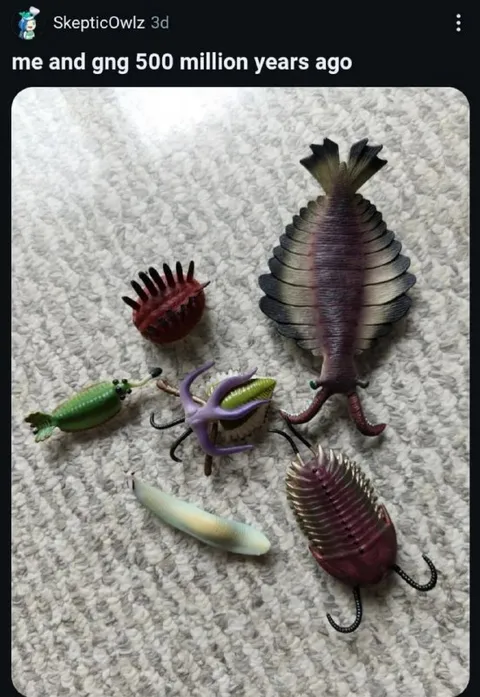 Me and the Gang 500 Million Years Ago