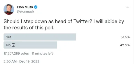 Elon Musk Twitter resignation poll