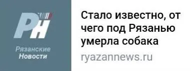 От чего умерла собака под Рязанью