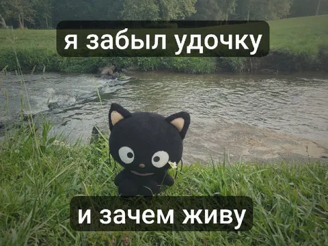 Забыл удочку и зачем живу