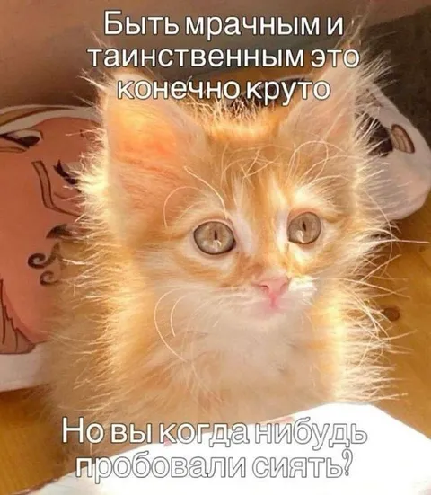Мрачный и таинственный котёнок