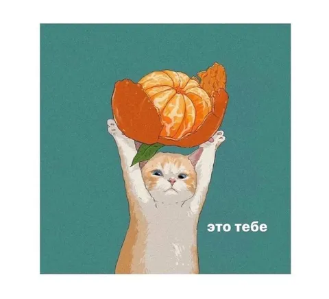 Котик с тыквой для тебя