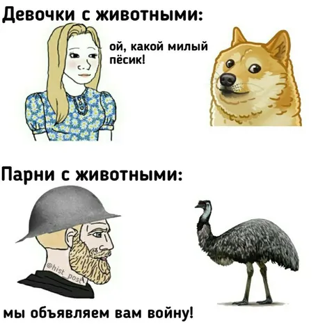 Девочки и парни с животными