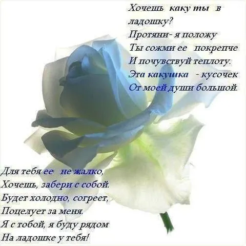 Роза с кусочком души