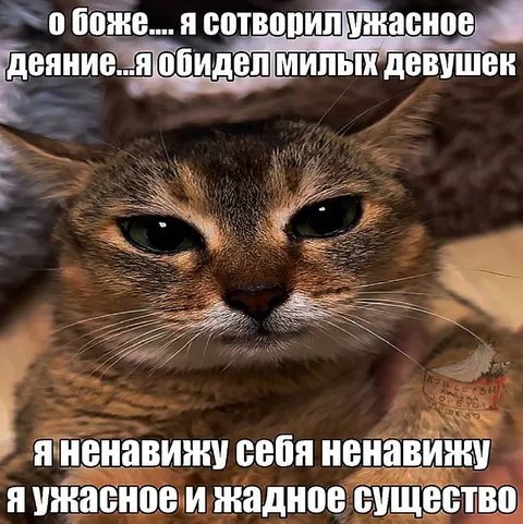 Кот раскаивается в ужасном поступке