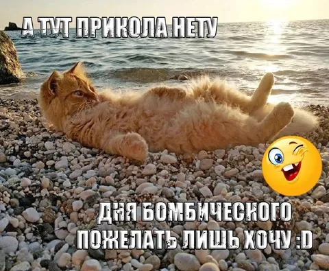 А тут прикола нету