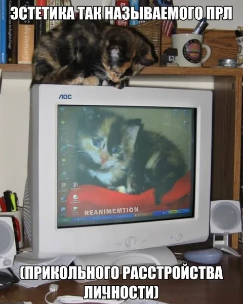 Эстетика расстройства личности