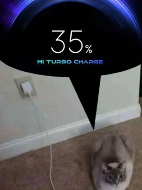 Cat Charging at 35 Percent