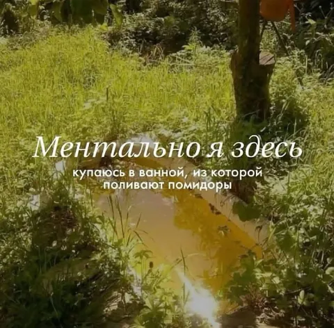 Ментально я здесь