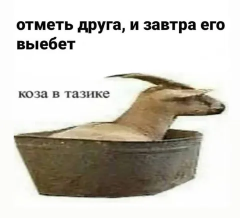 Коза в тазике