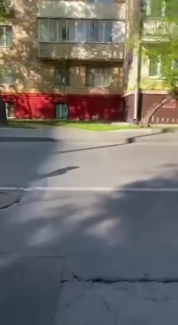 Спасение утят на дороге