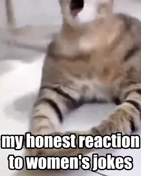 Cat Reacts to Women’s Jokes