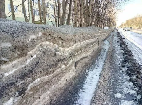 Самый большой кусок сала
