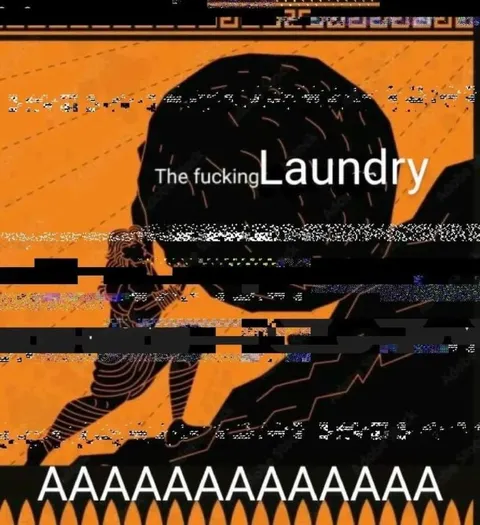 The Fucking Laundry