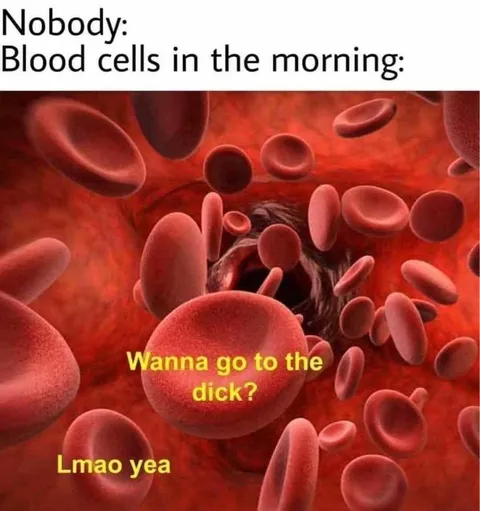 Blood Cells in the Morning