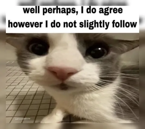 Well Perhaps I Do Agree