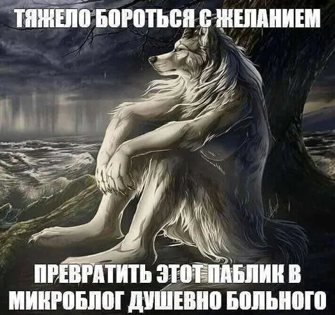 Желание превратить паблик в микроблог