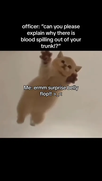 Surprise Belly Flop Explanation