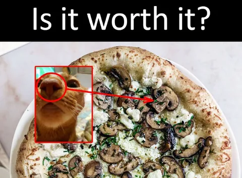 Is It Worth the Mushroom Pizza?