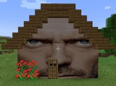Лицо-дом в Minecraft