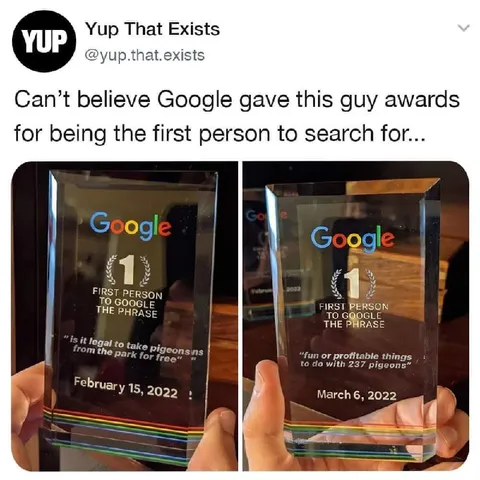 Google Awards for Pigeon Searches