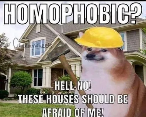 Construction Doge Says Hell No