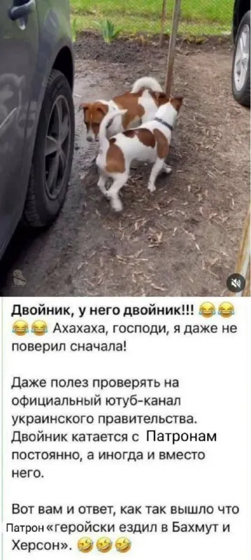 У Патрона оказался двойник