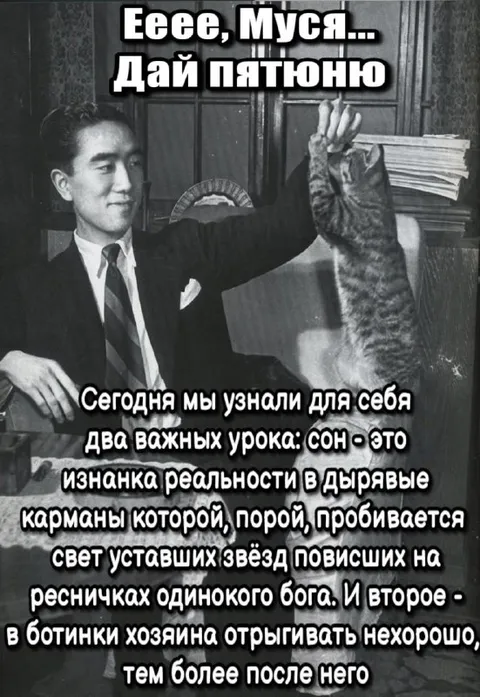 Муса даёт пятюню коту