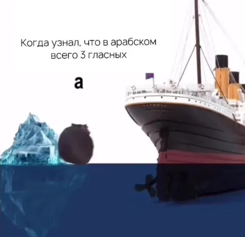 Кот учит арабские гласные