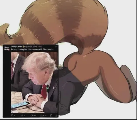 Trump Discussing with Elon Musk
