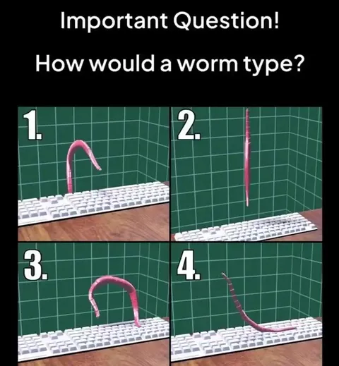 How Would a Worm Type?