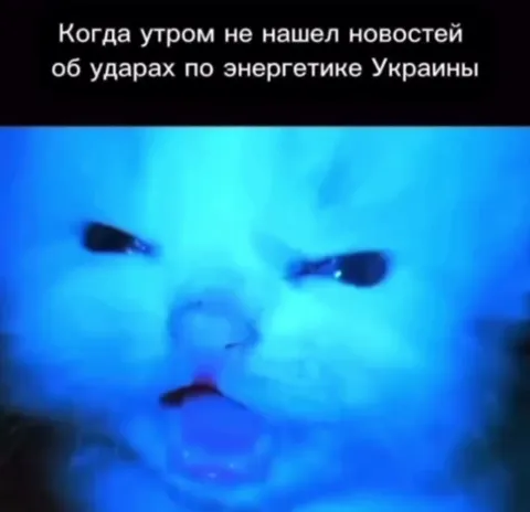Кот не нашёл новости об ударах