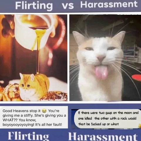 Flirting vs Harassment Cats