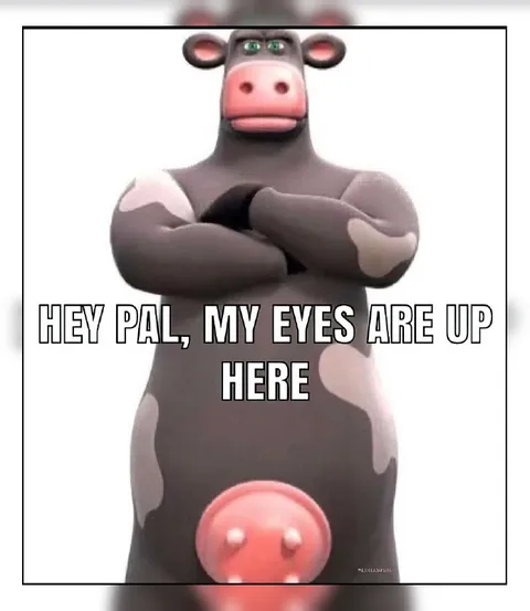 My Eyes Are Up Here Cow