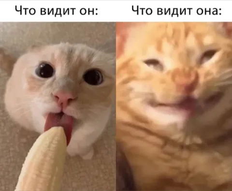 Что видит он и что видит она