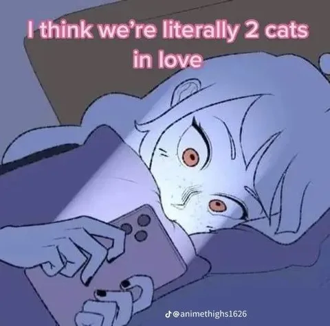 Two Cats in Love