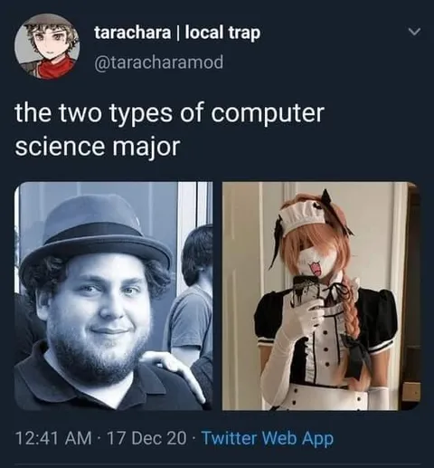The Two Types of Computer Science Major