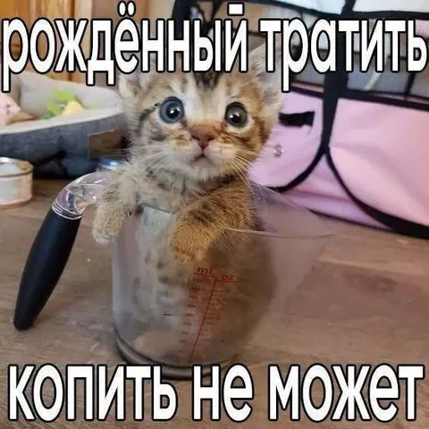 Рождённый тратить, копить не может