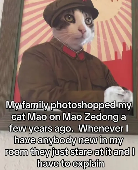 Cat Mao Zedong Portrait