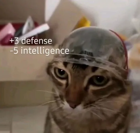 Cat With RPG Stats