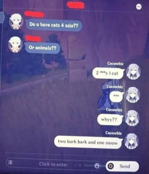 Two Bark Bark and One Meow
